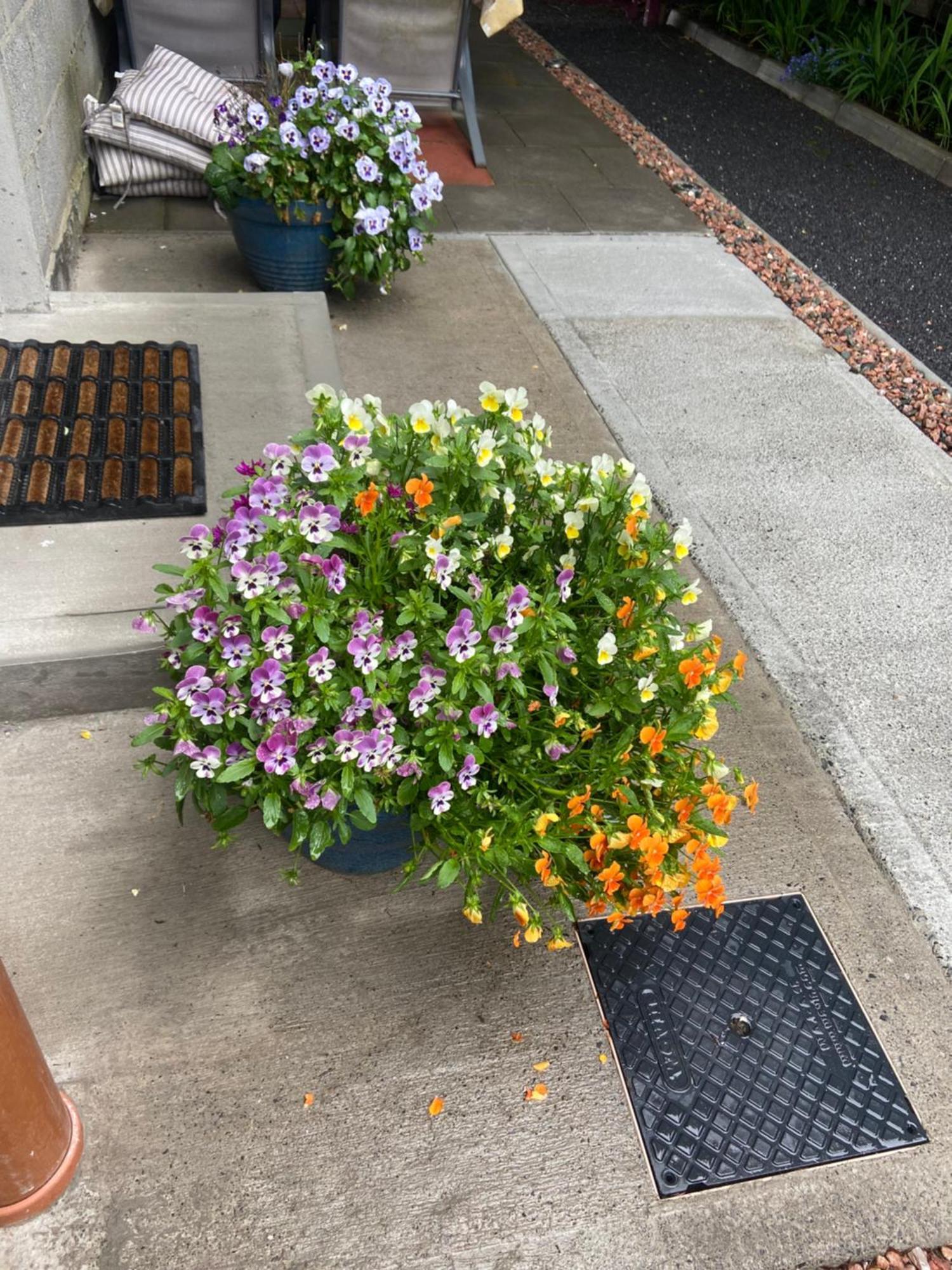 Harrys Place マリンガー エクステリア 写真